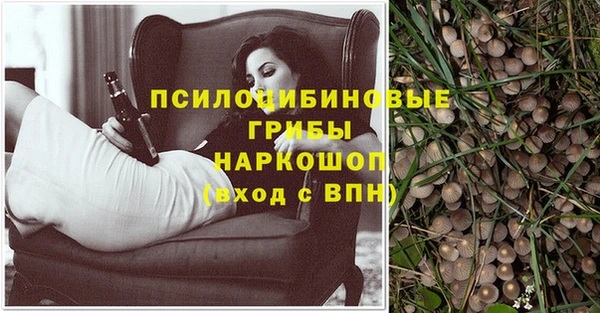 прущая мука Гусиноозёрск