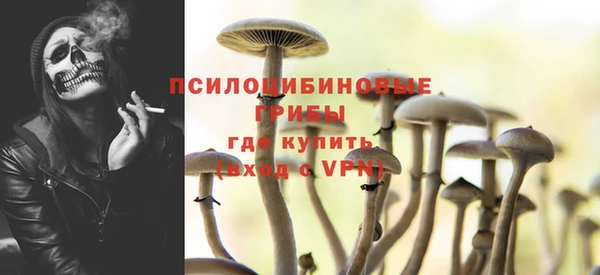 индика Шадринск
