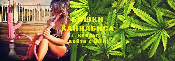 ПСИЛОЦИБИНОВЫЕ ГРИБЫ Гусь-Хрустальный