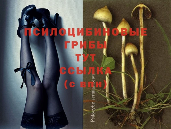 прущая мука Гусиноозёрск